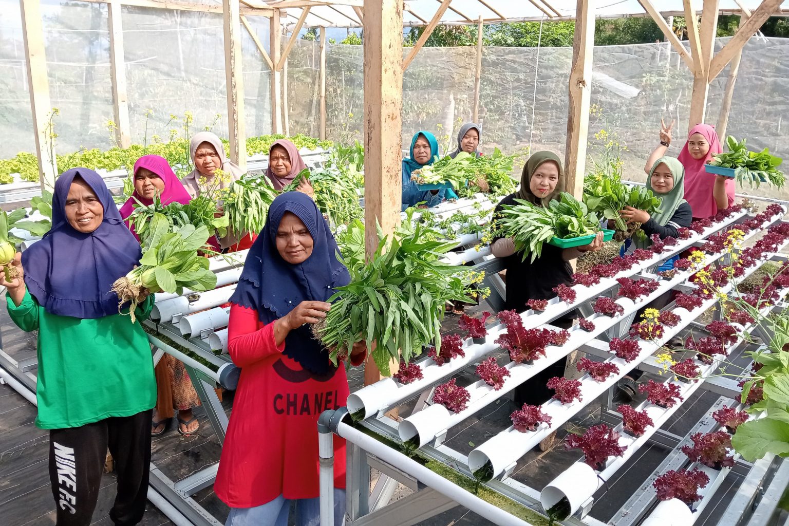Tim PKM Pendidikan Biologi Buat Program Pemberdayaan Perempuan Melalui Hidroponik di Kampung Munjul Garut